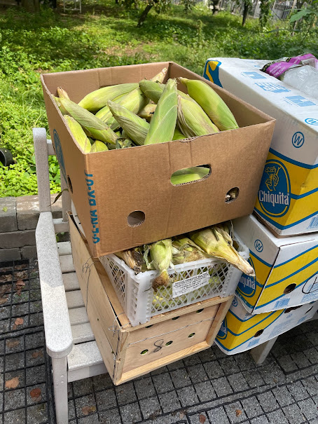 Corn and produce stacked in crates beside supply boxes